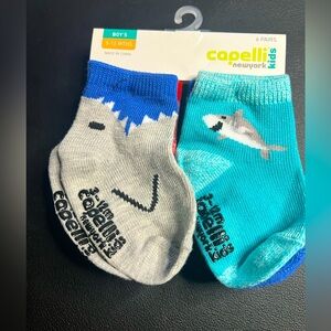 Capelli New York kids 6- pack baby boy socks Sharks